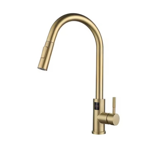 Kitchen Faucet